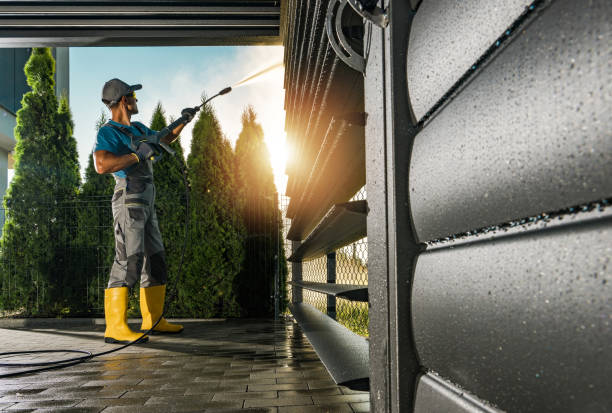 Best Roof Washing  in Lebanon, IL